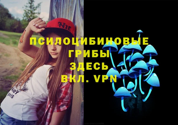ALPHA PVP Заволжье